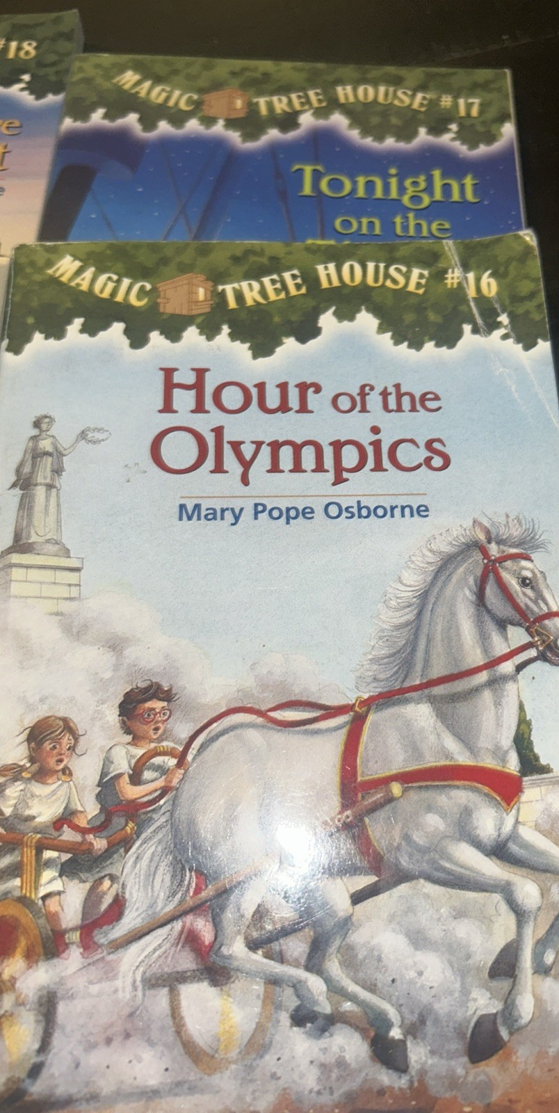 Magic Tree House Set