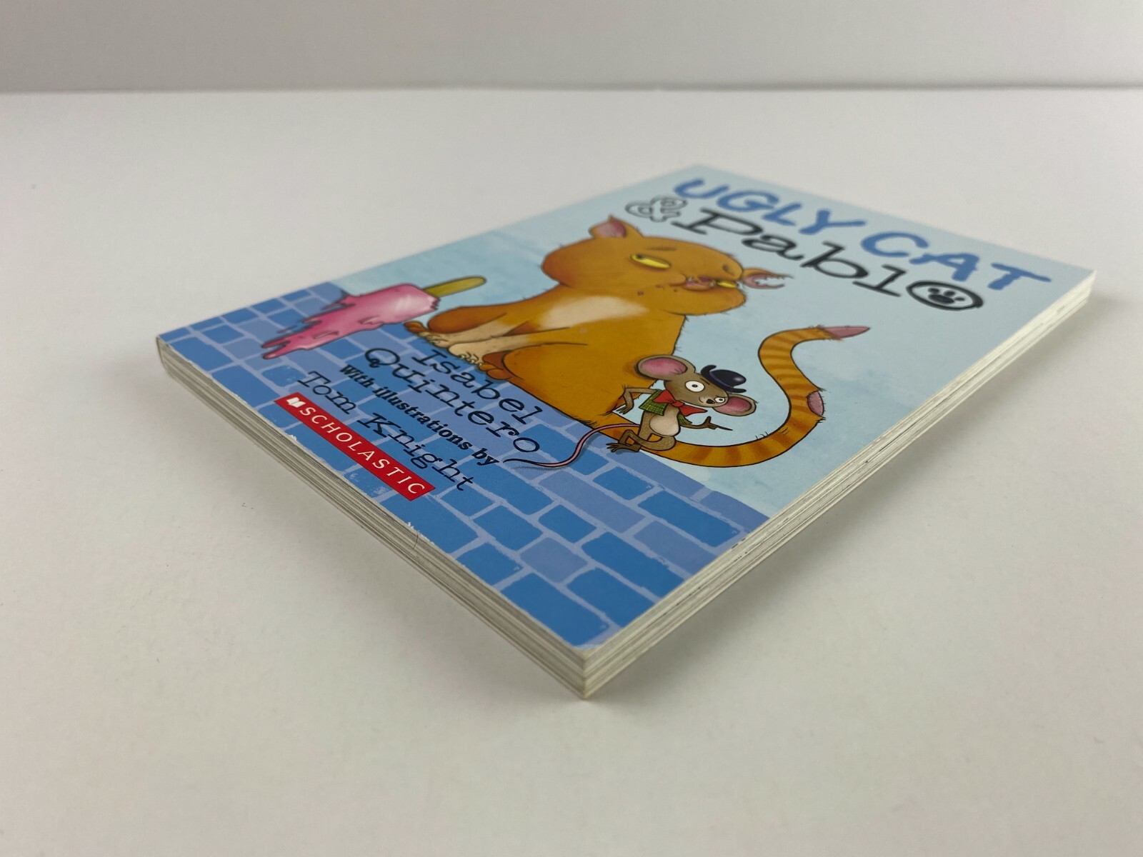 Ugly Cat and Pablo by Isabel Quintero (2017, Trade Paperback)