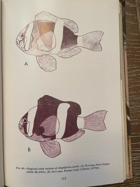 THE ANEMONEFISHES: THEIR CLASSIFICATION AND BIOLOGY By Gerald R. Allen , 1972