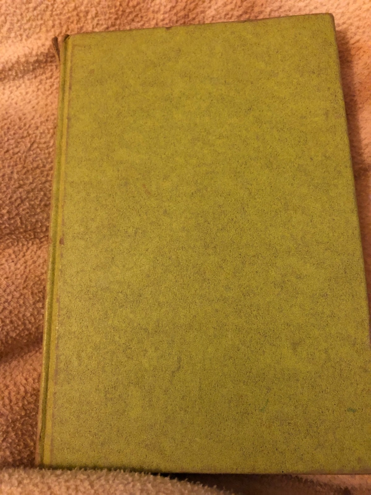 Beth Day LITTLE PROFESSOR OF PINEY WOODS – Laurence Jones 1955 HC 1st Edition