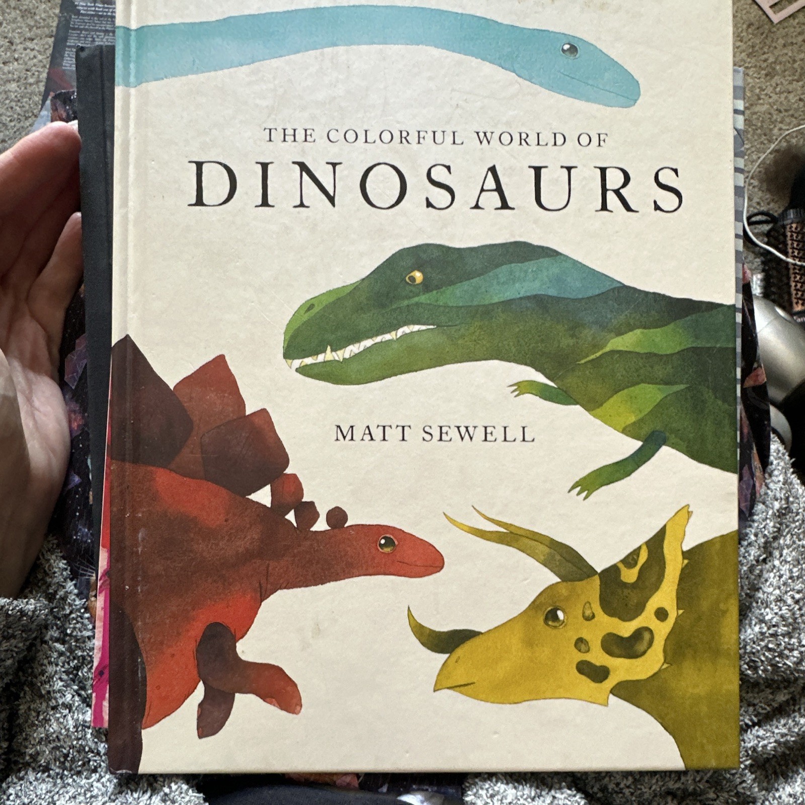 Matt Sewell The Colorful World of Dinosaurs Hardcover 2018 Princeton Ages 4-8