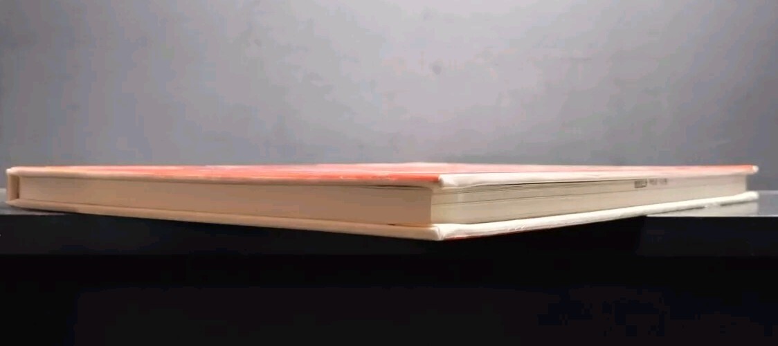 Literature Links to Phonics by Karen J. Durica (Paperback, Ex-Library) Reading &