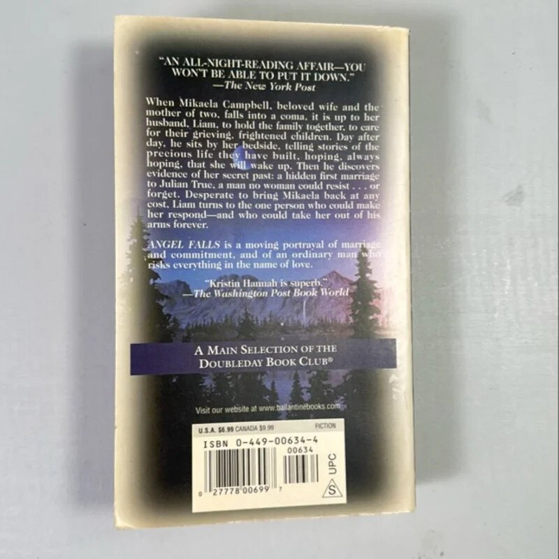 Angel Falls : A Novel by Kristin Hannah (2001, Mass Market)