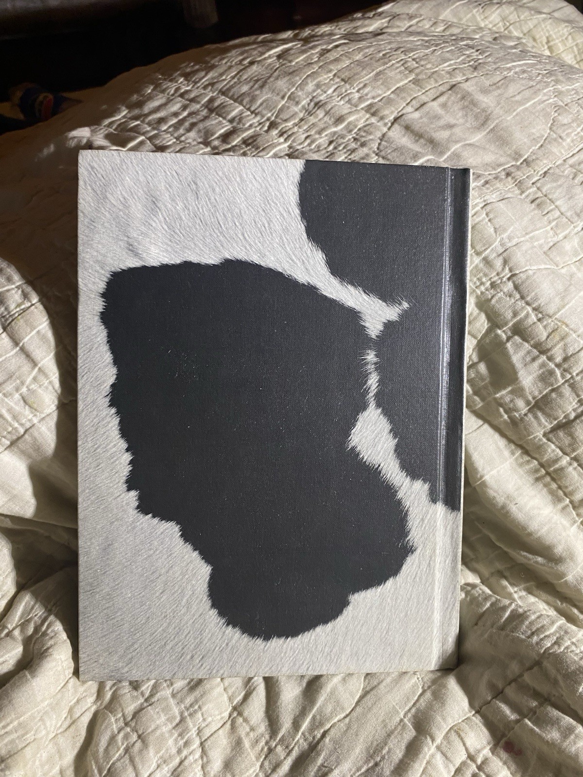 Vtg Tom Logan Series Secret Tunnel Edna Walker Chandler Benefic Press 1967