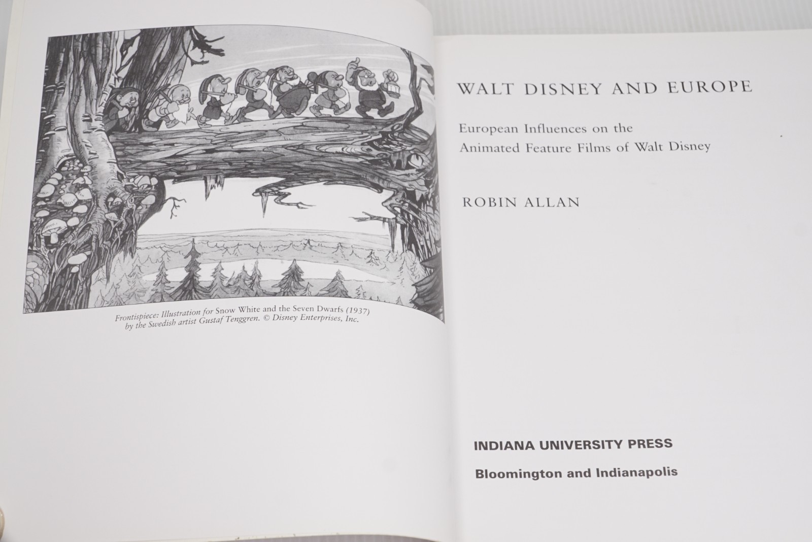 Walt Disney and Europe by Robin Allen 1999 SC First Printing Indiana Univ Press