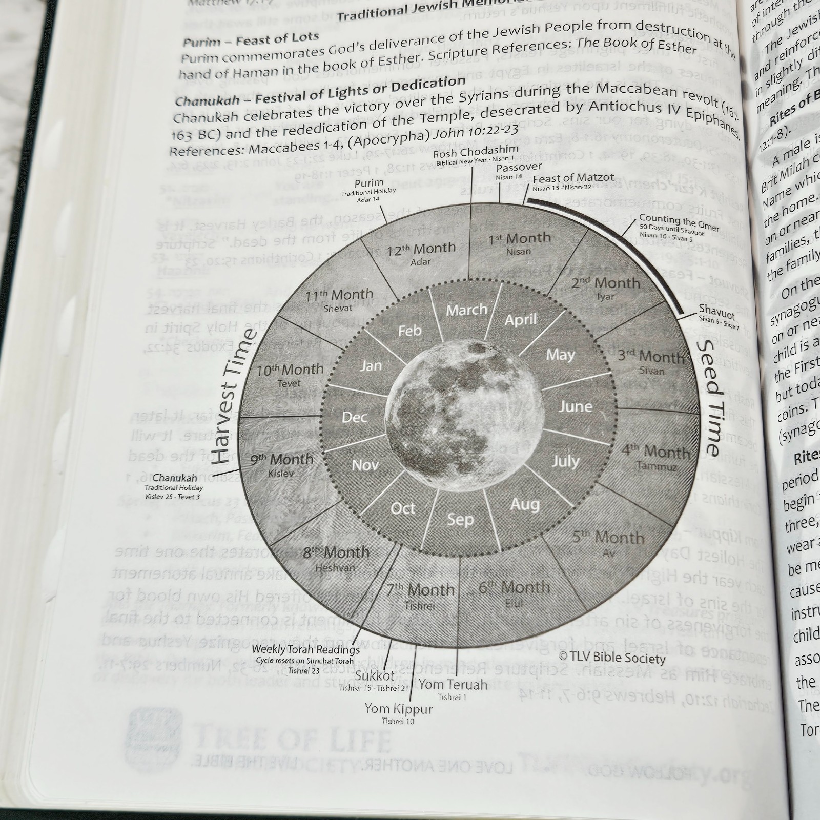 Messianic Jewish Family Bible Tree of Life Version TLV Gold Gilt Dark Green Tabs