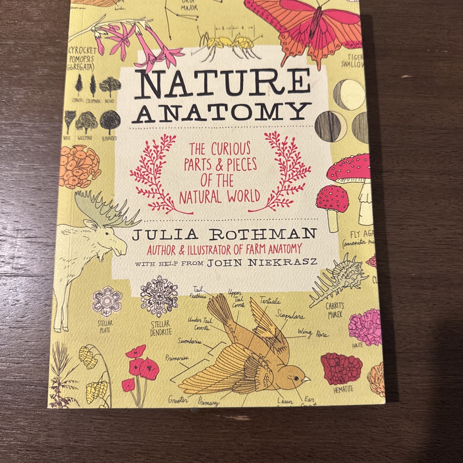 Nature Anatomy Sticker Book: A Julia – Paperback, by Rothman Julia – Very Good