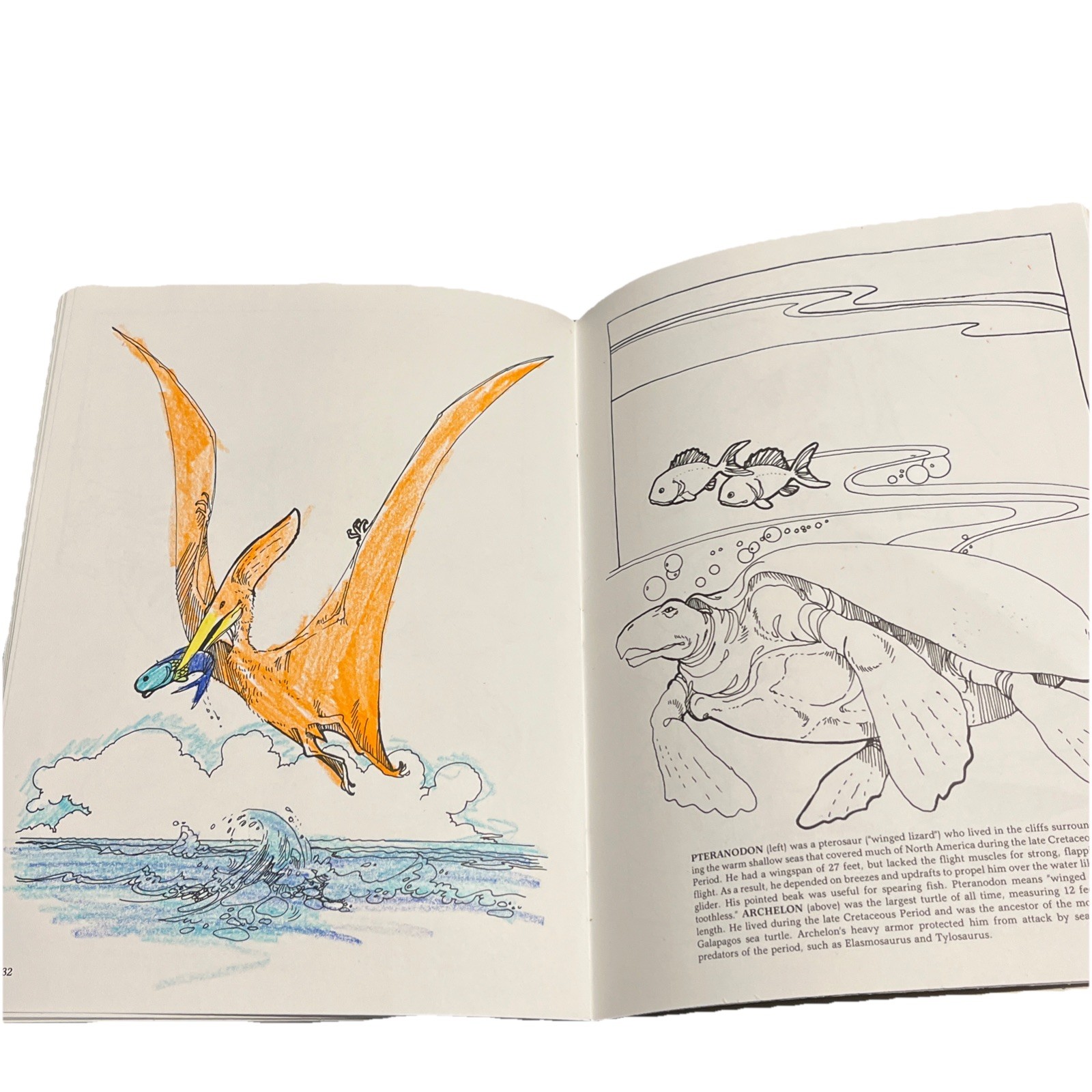 Vintage Dover Coloring Book The Dinosaur Coloring Book by Anthony Rao 1980 READ