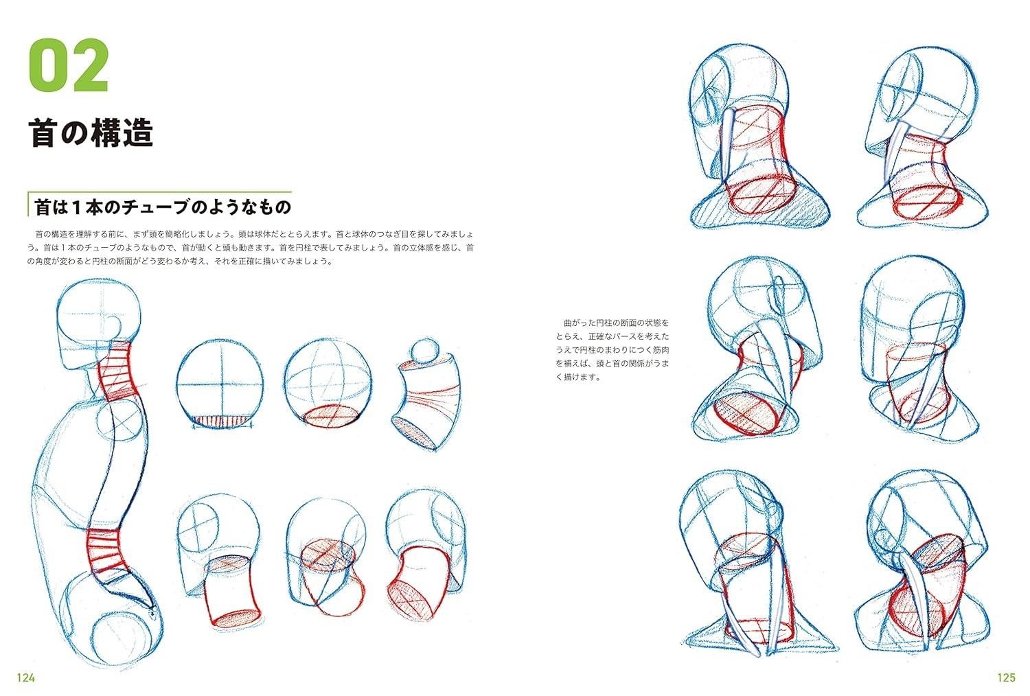 Master Guide to Drawing the Human Body Character Drawing From The Basics Book