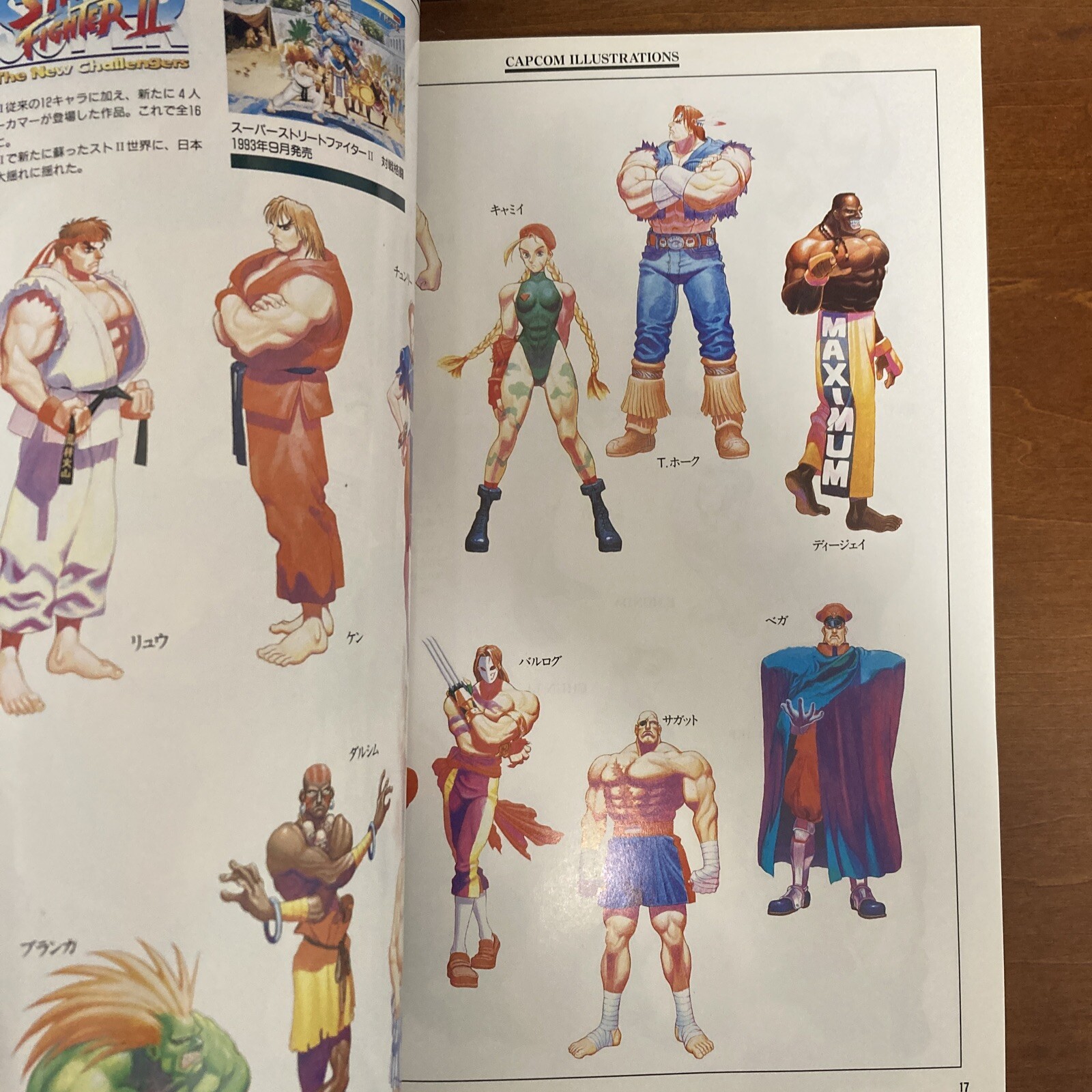 Capcom Illustrations Art Book