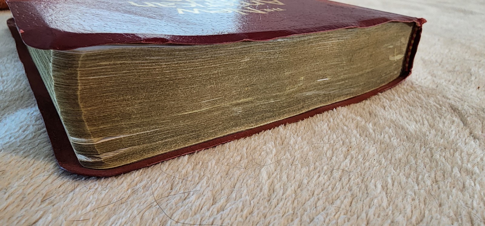 The New American Bible Catholic World Press Red Letter Edition Crimson Cover 91