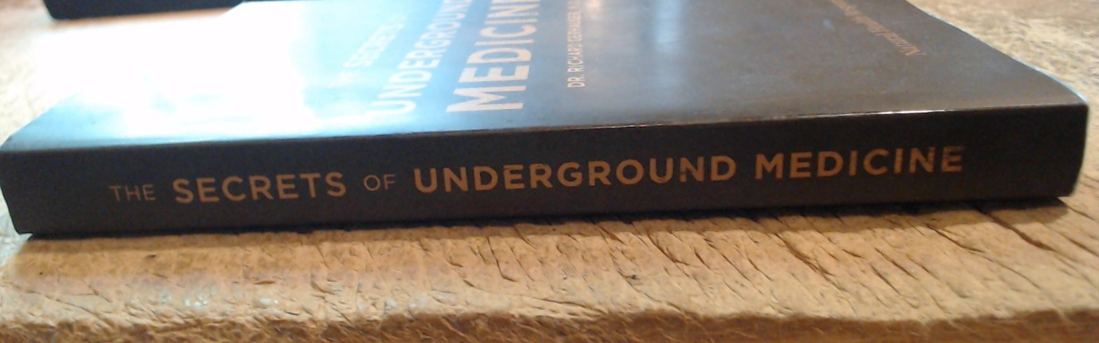 LIKE NEW-The Secrets of Underground Medicine by Dr. Richard Gerhauser MD-Pb