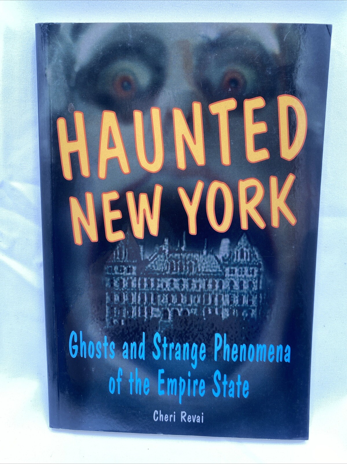 Haunted New York Ghosts And strange Phenomena Of Empire State