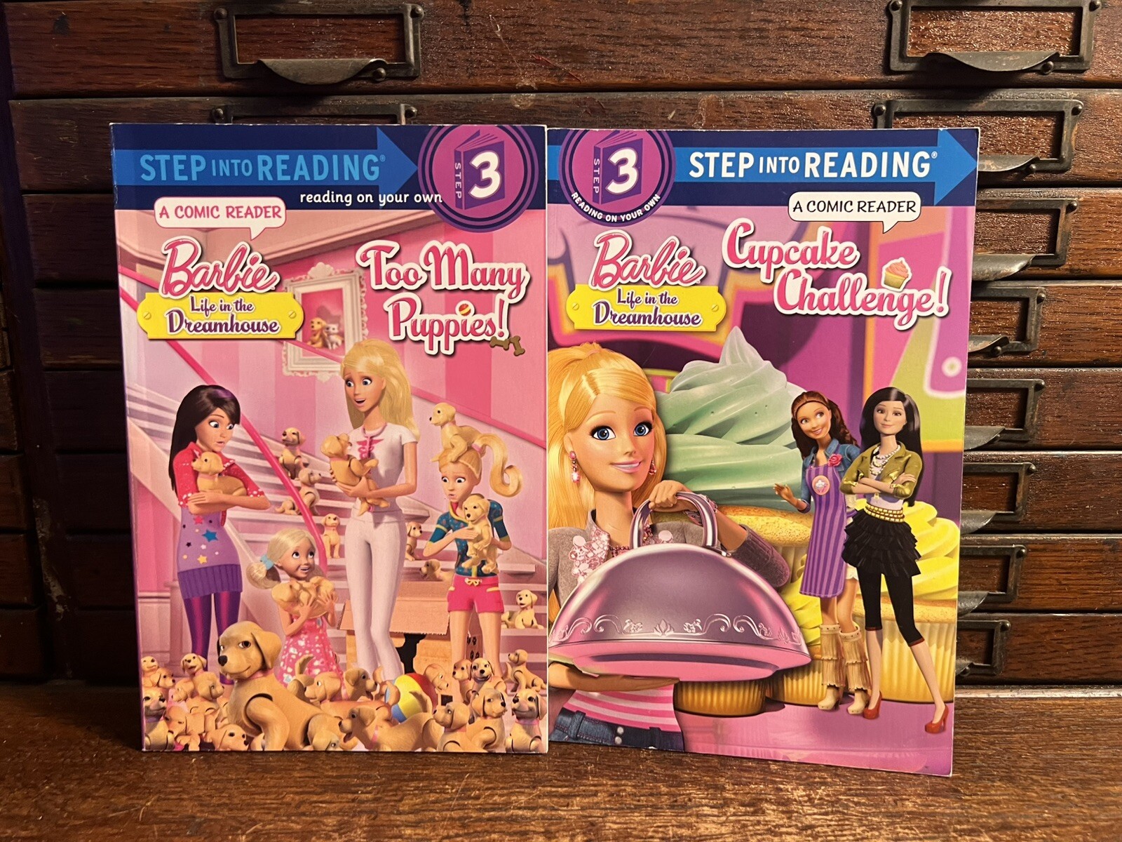Lot of 19 Barbie: 18 Books, Xmas DVD; Step Reading 2 3; Golden; Fashion, Puppies