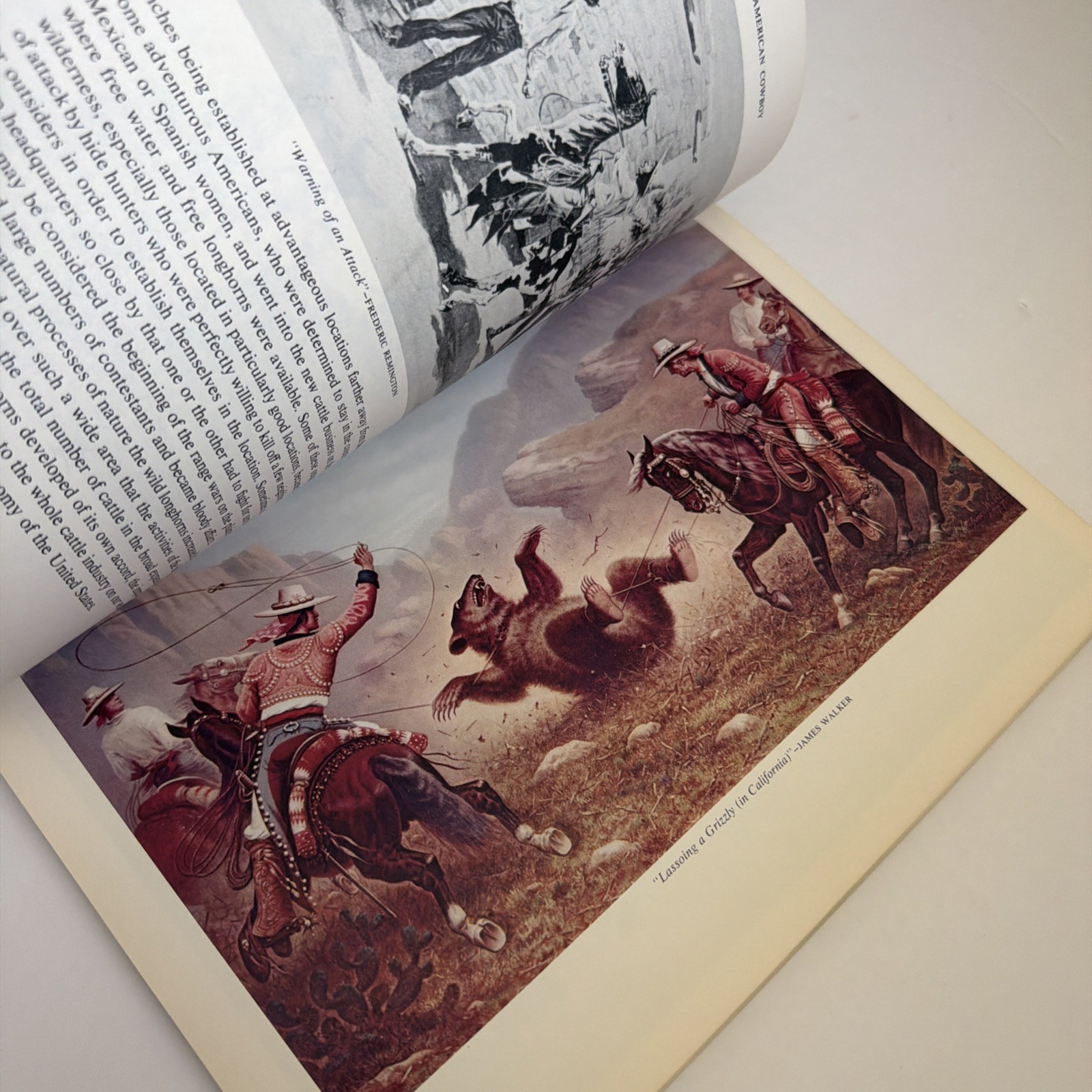 The American Cowboy by Harold MCCRACKEN History Art Drawings PB 1973