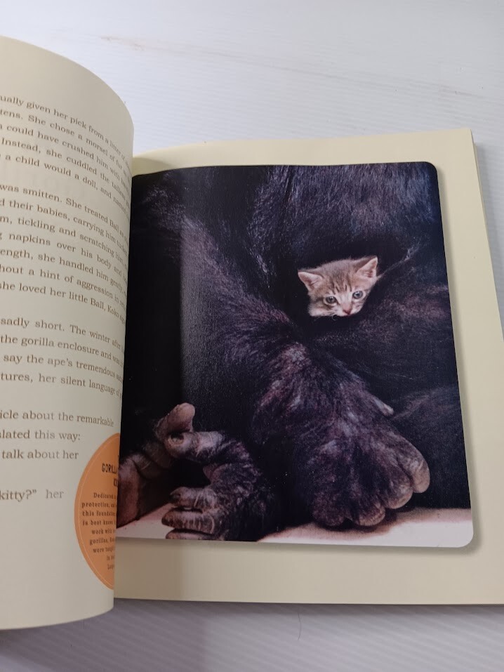 Unlikely Friendships 47 Stories from the Animal Kingdom Jennifer S Holland