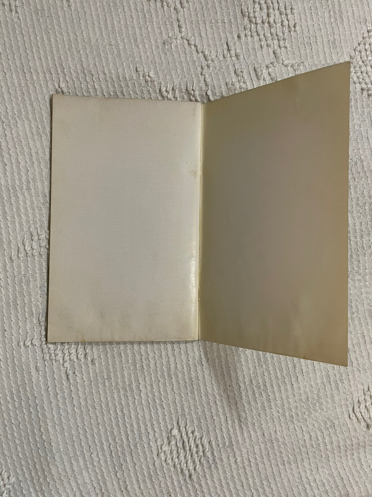 Servel Electrolux Cookbook Paperback Vintage 1937