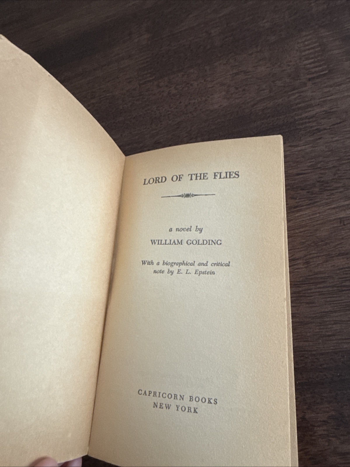 Lord of the Flies William Golding Paperback Vintage Book