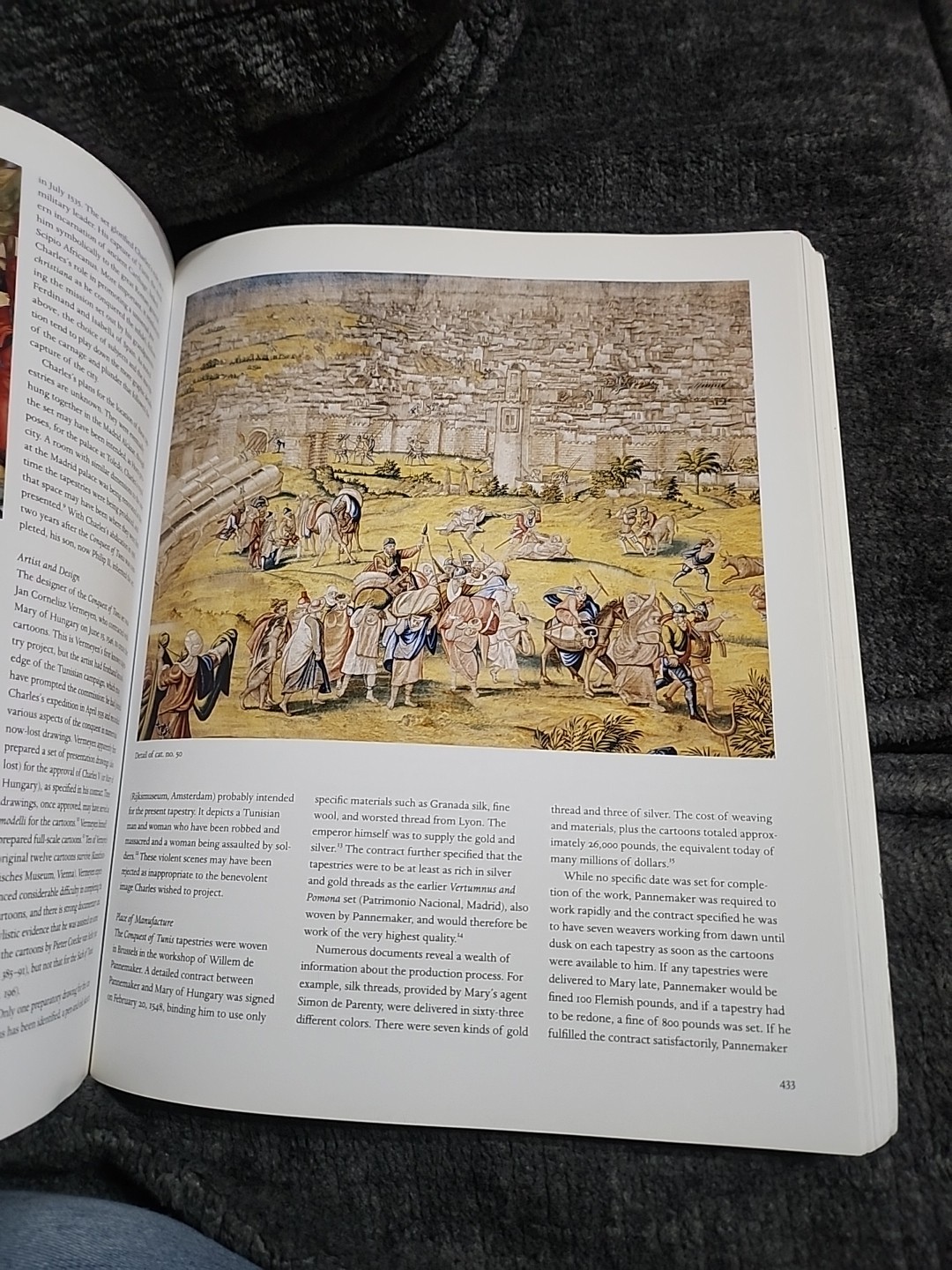 Tapestry in the Renaissance : Art and Magnificence by Thomas P. Campbell (2006,