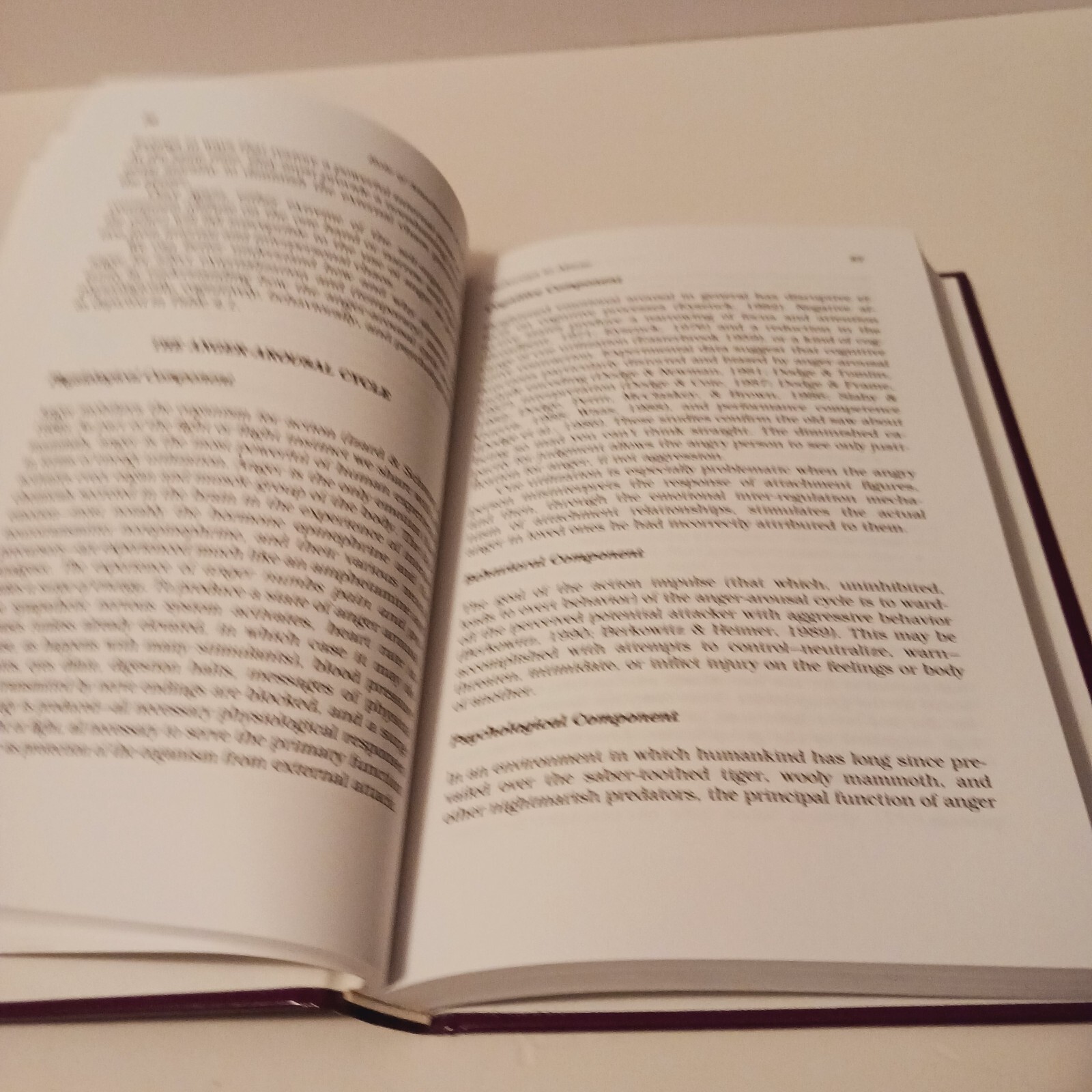 Treating Attachment Abuse: A Compassionate Approach, Hardcover, 1995