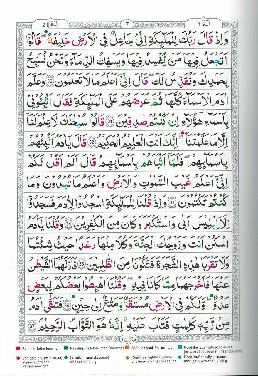 Tajweed Quran persian, Urdu & Southafrican Script with 15 Lines ( Ref 213)