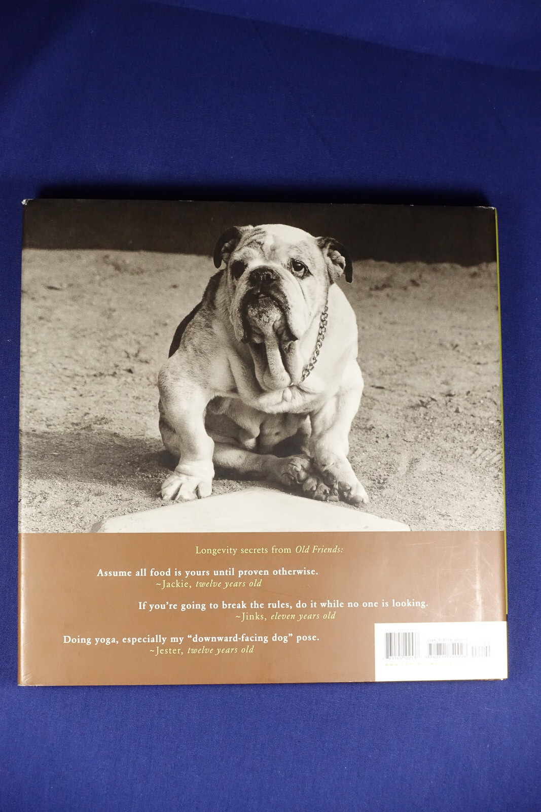 OLD FRIENDS Mark Asher GREAT DOGS ON THE GOOD LIFE Dog Photo Photography Book