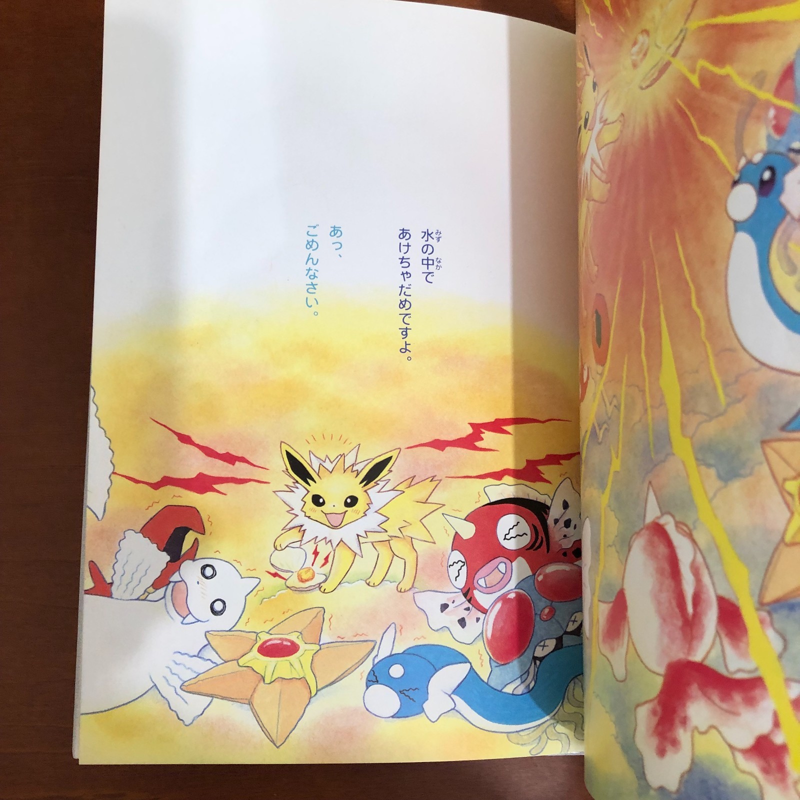 Pokemon Pikachu Picture Diary Let’s Go with Pikachu Keiko Fukuyama Art Book