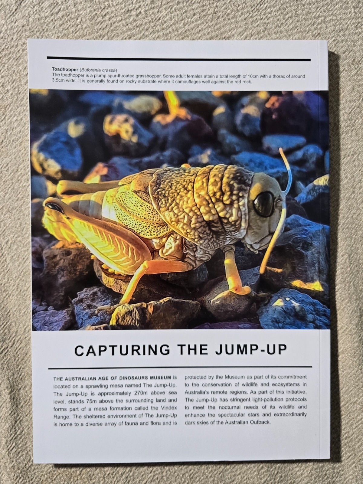Australian Age Of Dinosaurs Journal – The Snake Creek Tracksite Issue 18
