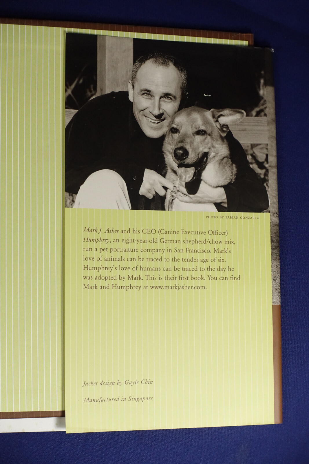 OLD FRIENDS Mark Asher GREAT DOGS ON THE GOOD LIFE Dog Photo Photography Book