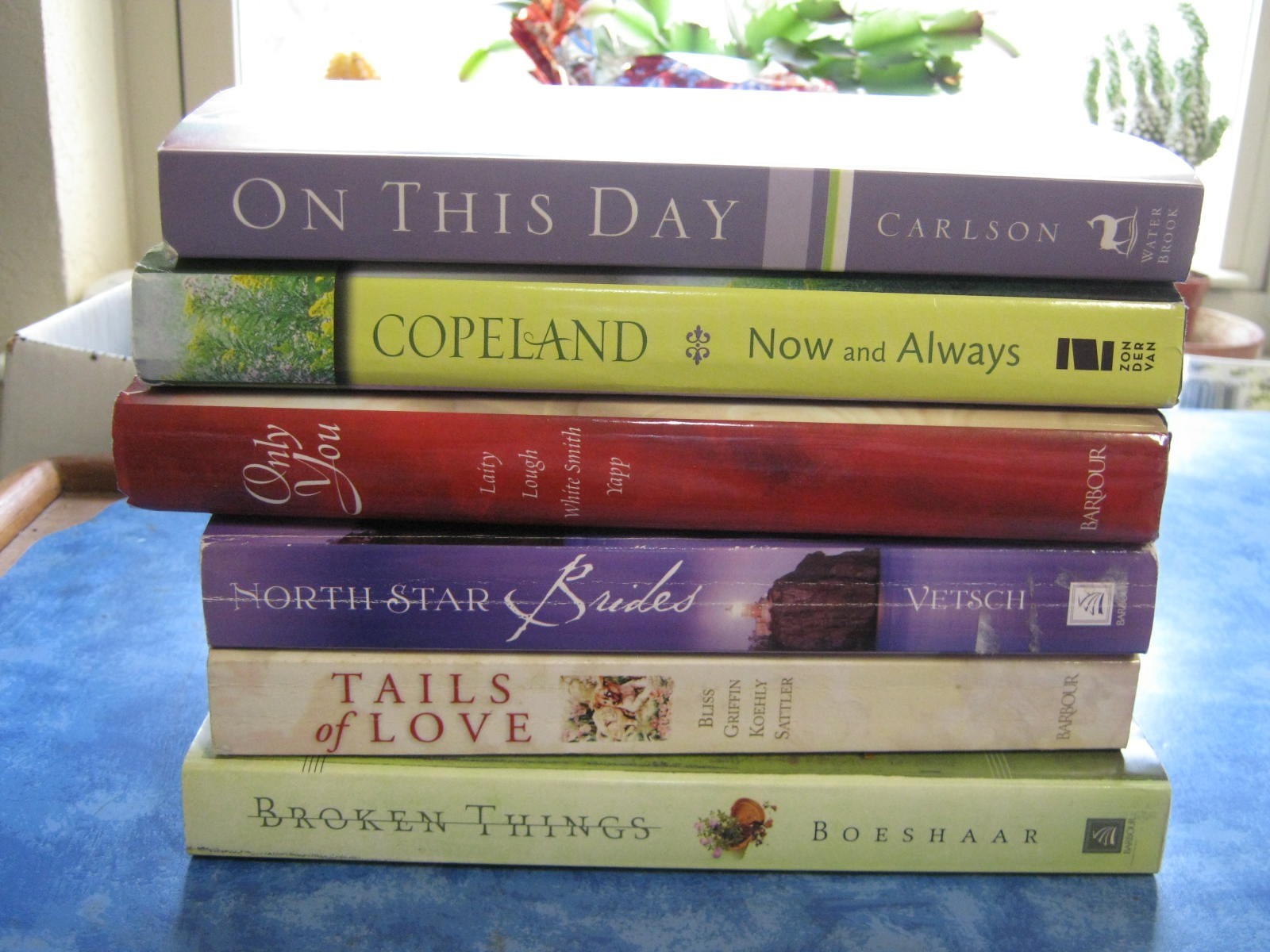 LOT OF 6 INSPIRATIONAL ROMANCE SC Tails of Love ON THIS DAY North Star Brides
