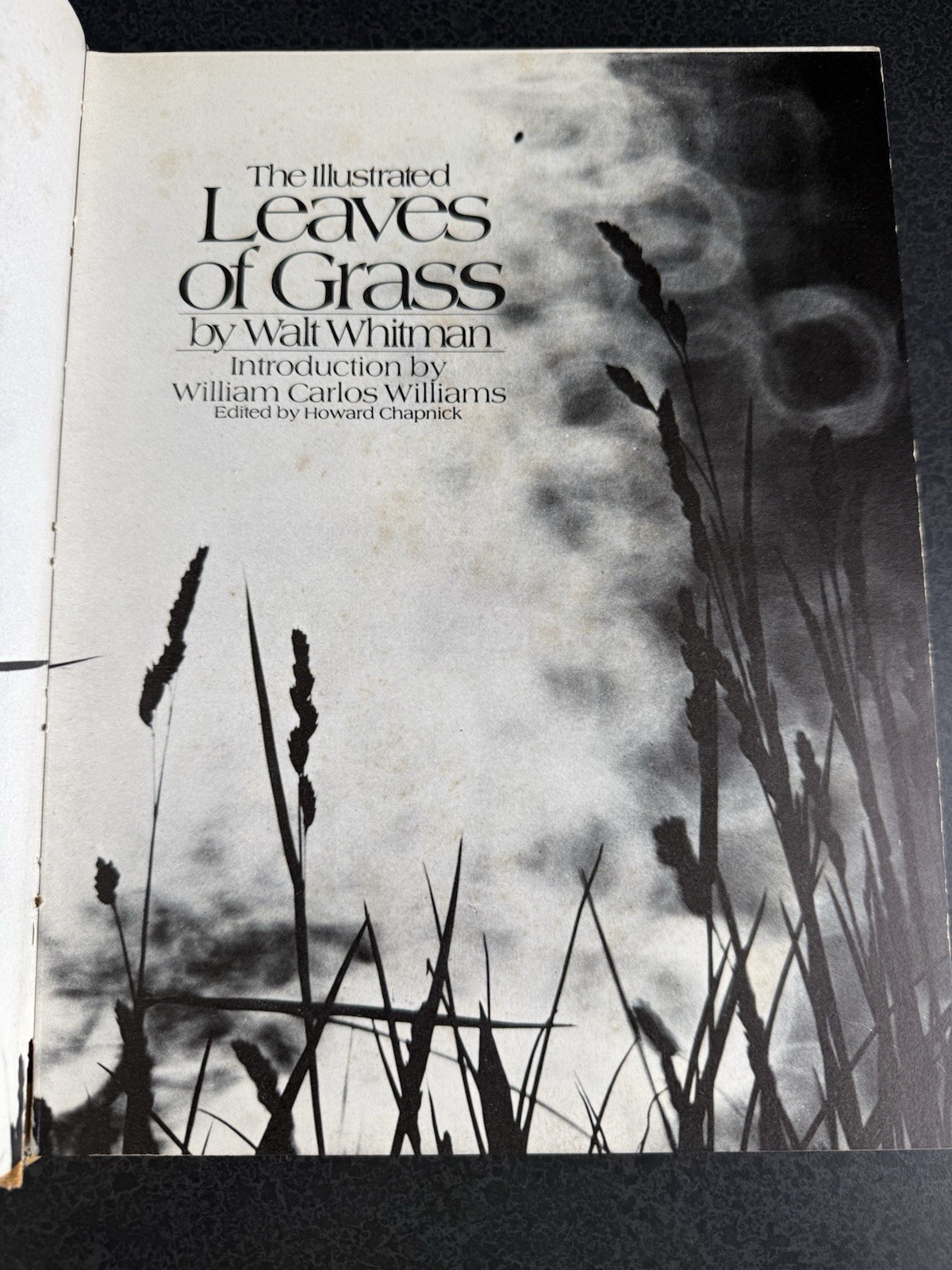 The Illustrated Leaves of Grass Walt Whitman (Hardcover, 1971)