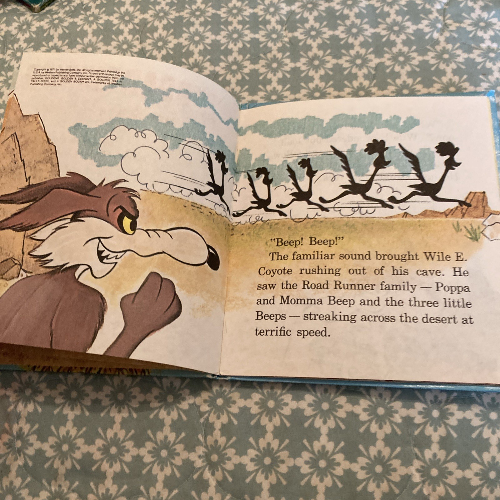The ROAD RUNNER Tumbleweed Trouble by Jack Woolgar Whitman Tell A Tale Book 1971