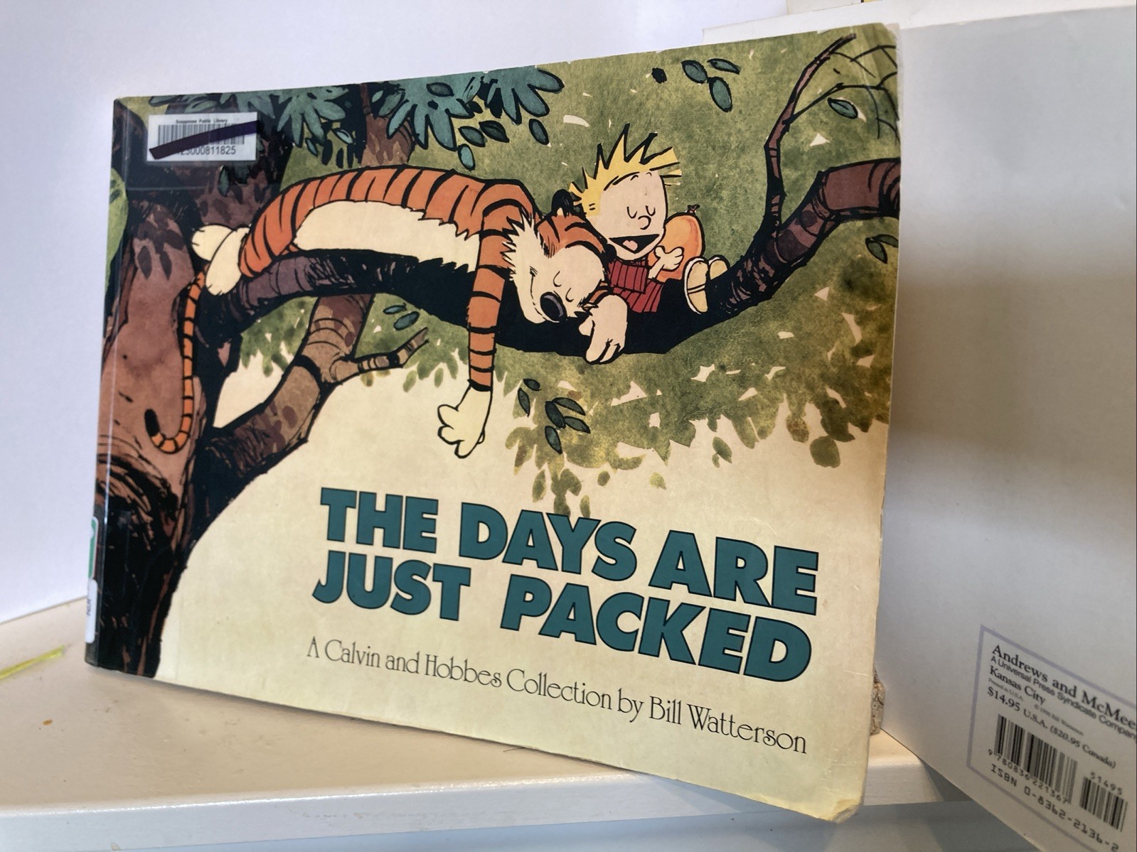 Lot of 15 Calvin and Hobbes Softcover Books by Bill Watterson