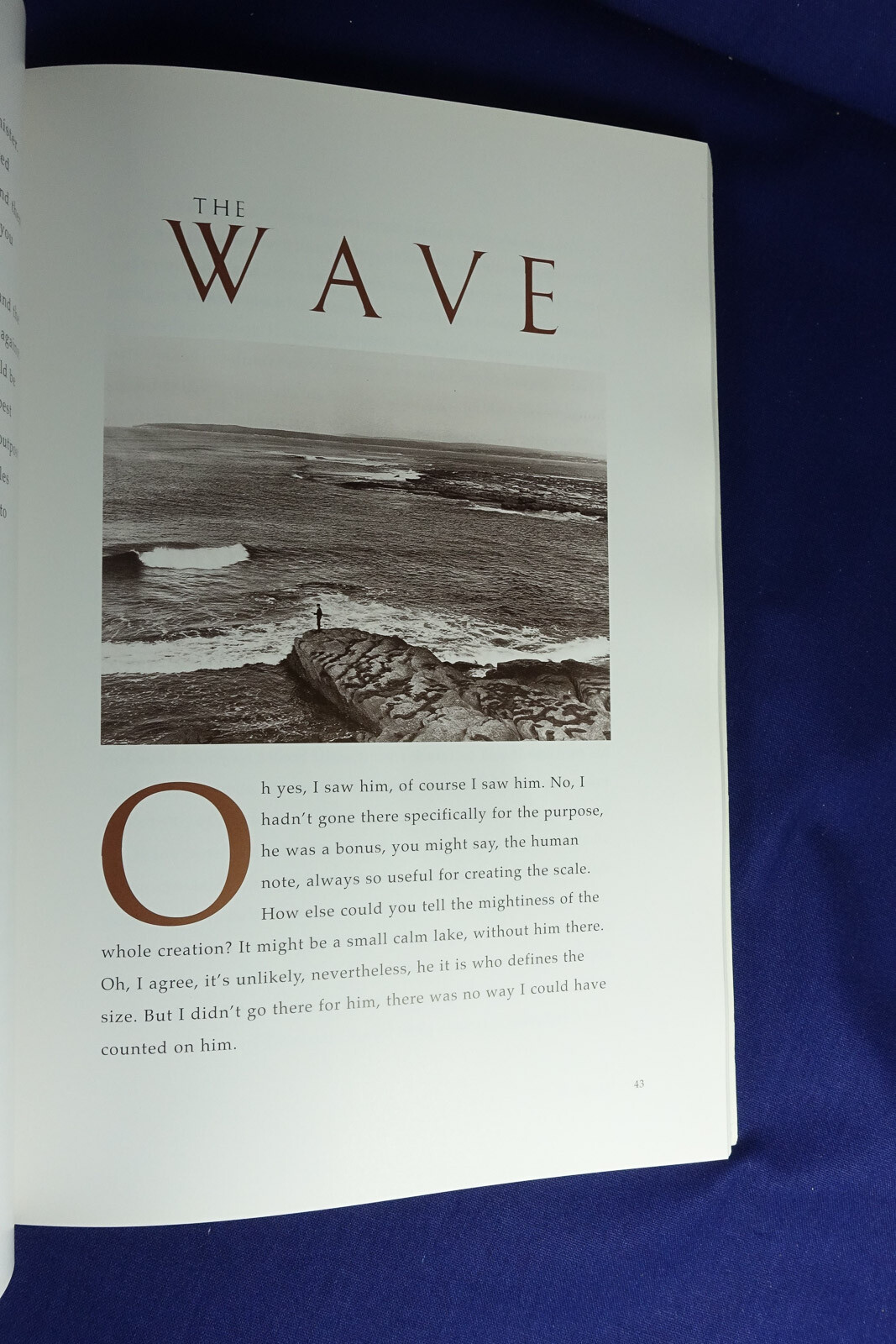 OUT OF THE PICTURE Marion Halligan SHORT STORIES & PHOTOS FROM NATIONAL LIBRARY
