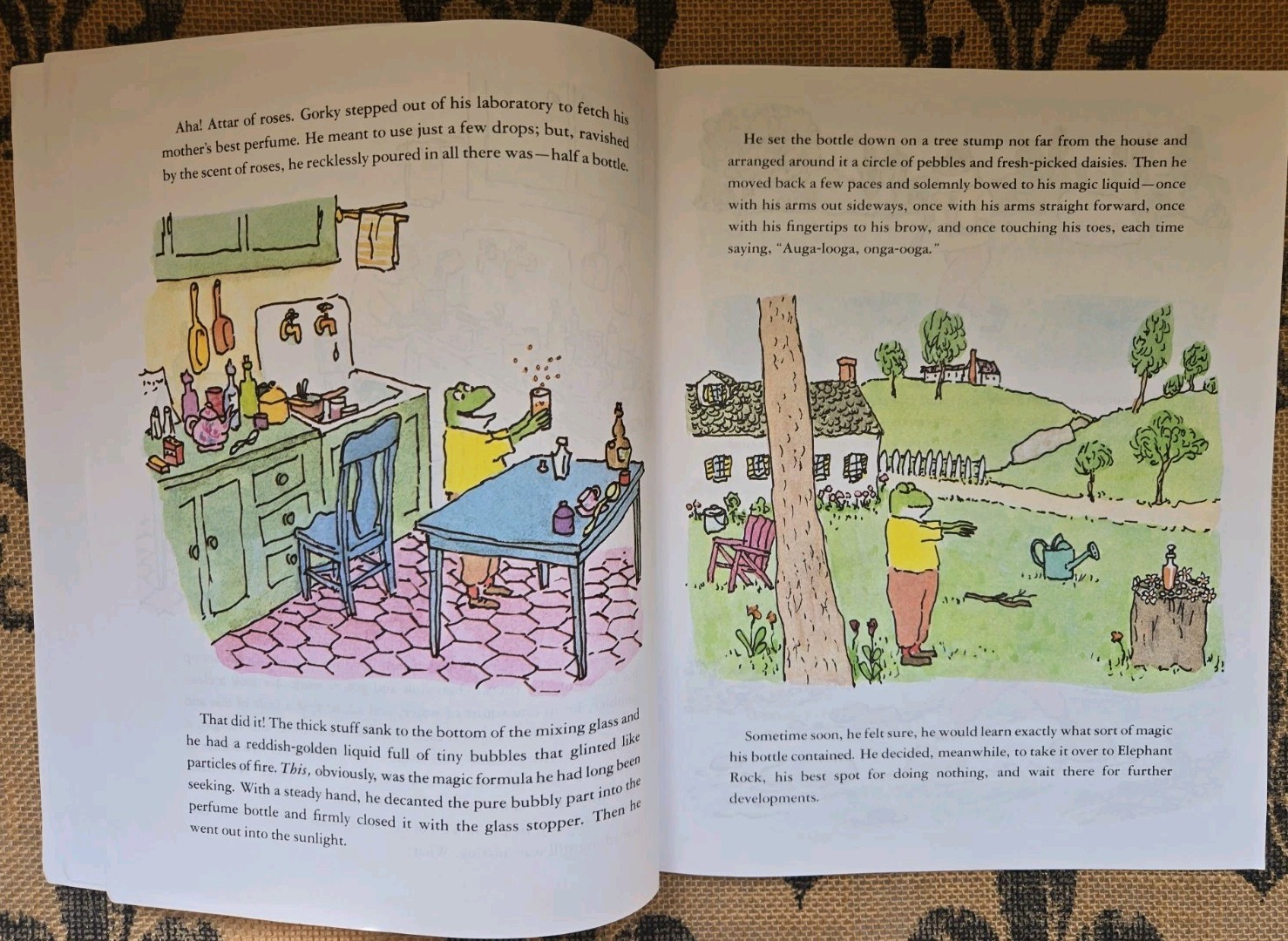 Stories about Frogs Childrens Book Lot Freddie the Frog, Hoppy Long Legs, Gorky