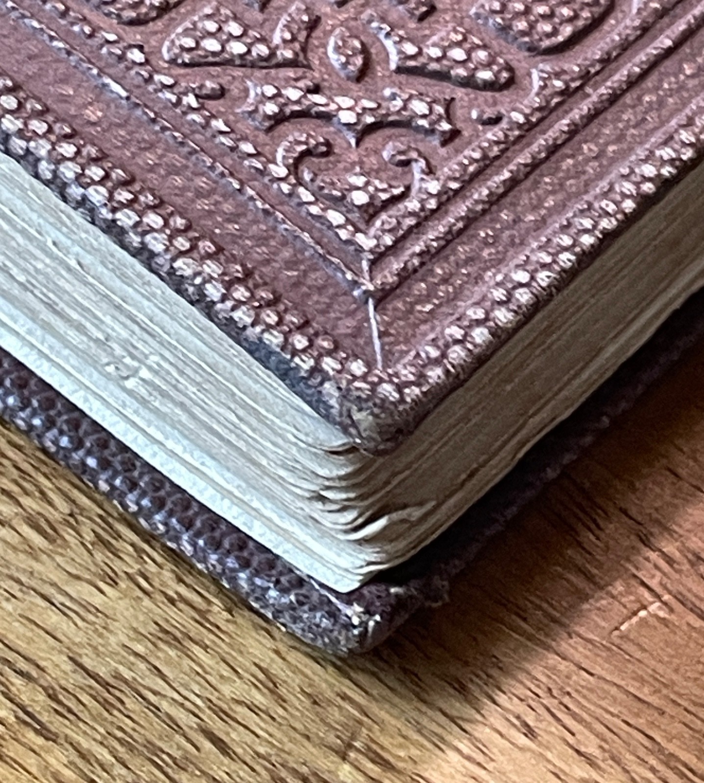 Honey Blossoms for Little Bees 1859 Victorian Decorative Binding Antique 1st Ed