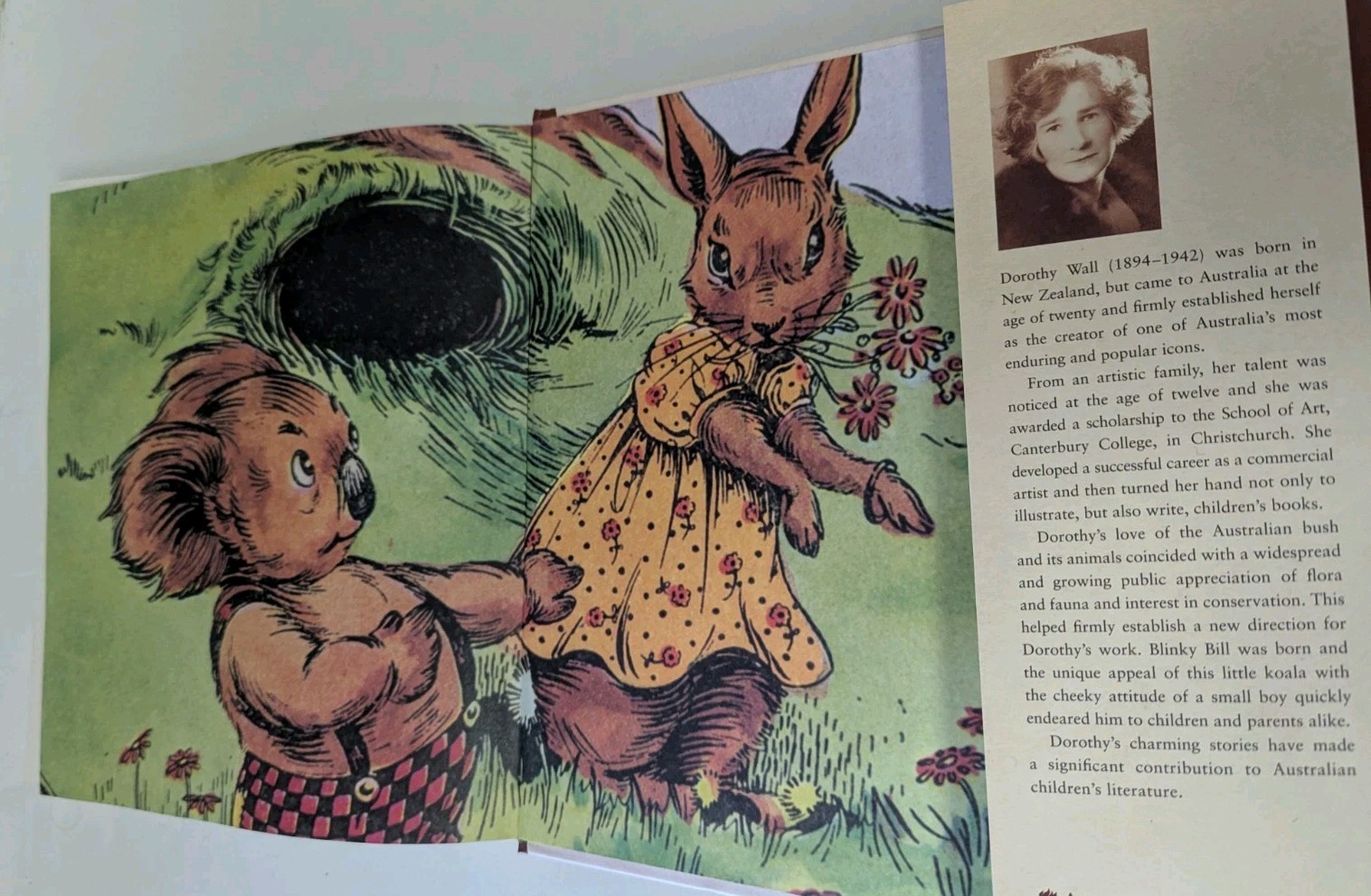 1990 Complete Adventures Blinky Bill Story & Illustrations HC Dorothy Wall