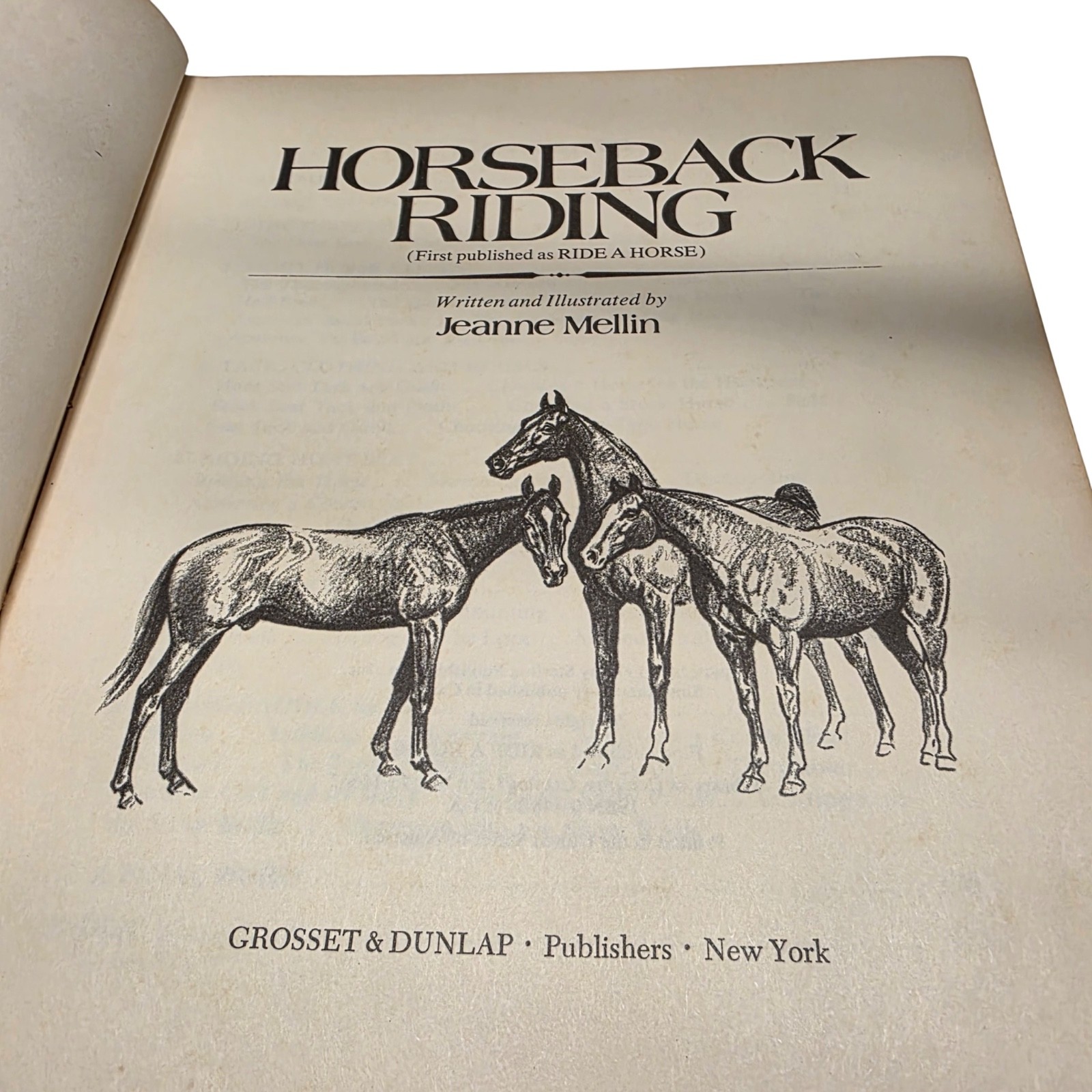 Vintage Horseback Riding Book by Jeanne Mellin 1970 HC Brown 9.25×7.25 Complete