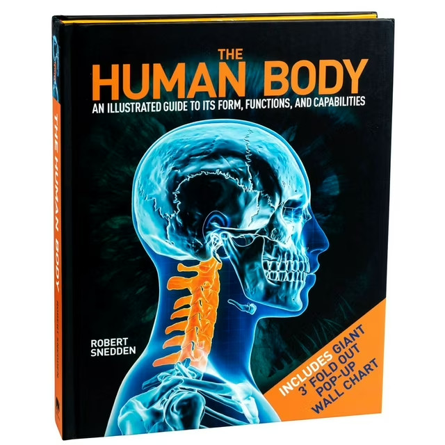 The Human Body An Illustrated Guide to It’s Form, Functions, and Capabilities