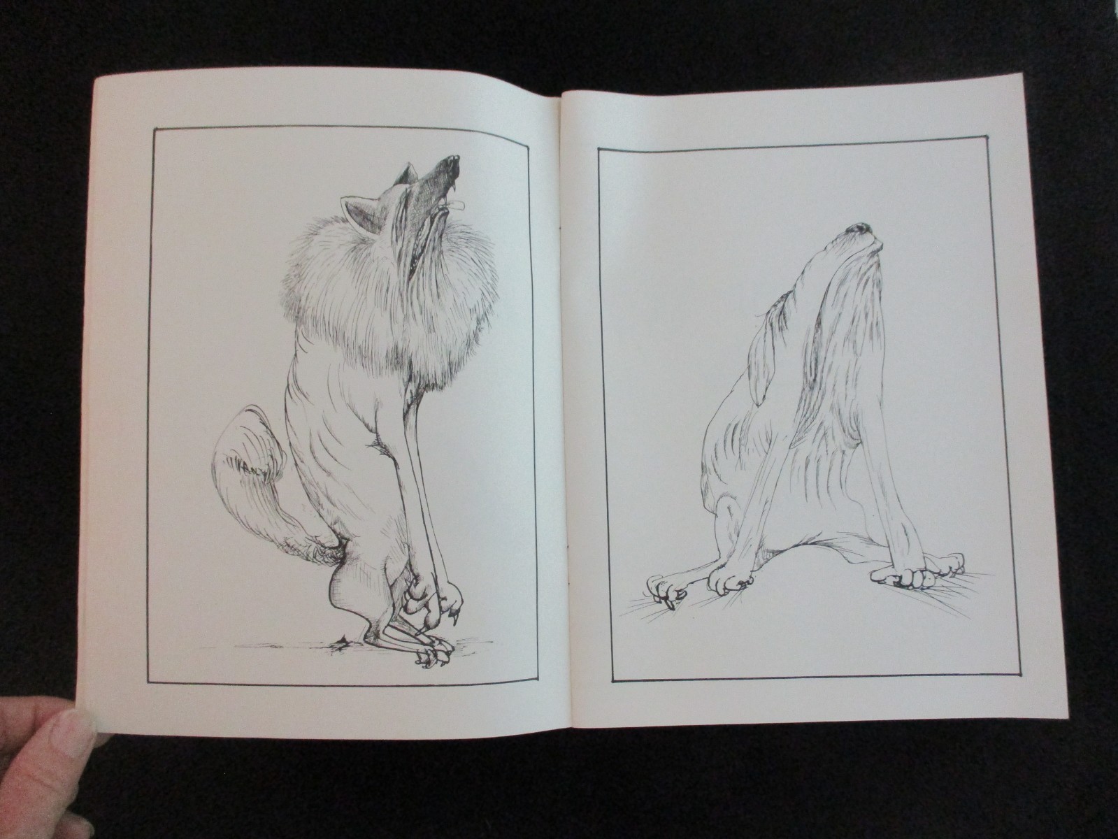 Vintage 1977 Dogsbodies by Ralph Steadman (G)
