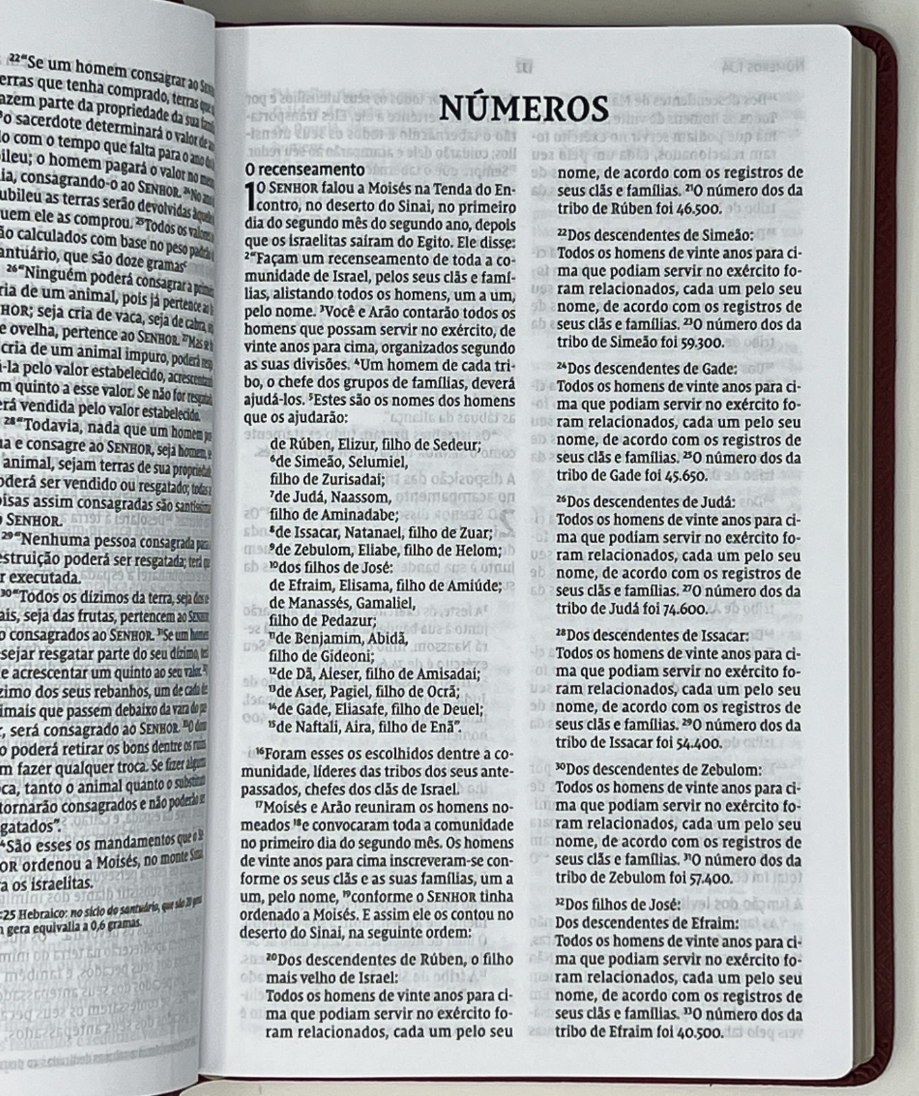 SPANISH BIBLE / RELIGION: Biblia Sagrada: NVI – 2011 SC Pub. by Thomas Nelson