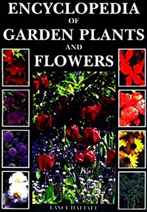 Encyclopedia of Garden Plants and Flowers Hardcover Lance Hattatt