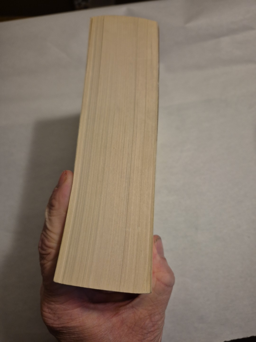 The Executioner’s Song by Norman Mailer Vintage TPB American Literature