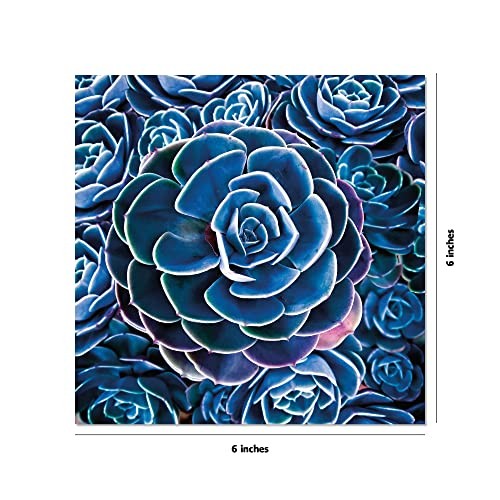 Origami Paper 500 sheets Succulents 6″ (15 cm): Tuttle Origami Paper: Double-Sid