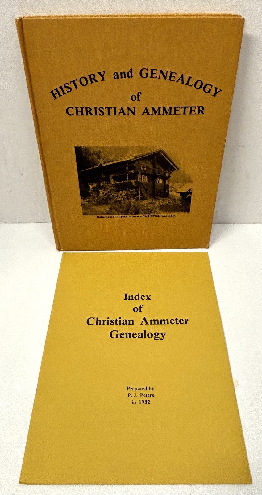 History and Genealogy of Christian Ammeter 1849-1938 by P.J. Peters Canada 1982