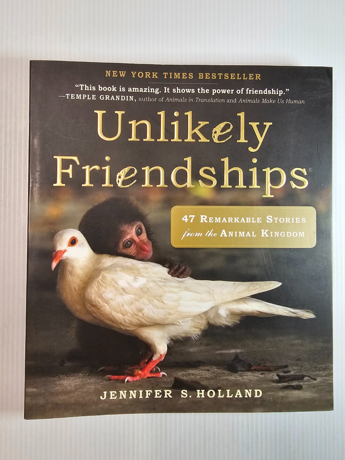 Unlikely Friendships by Jennifer S. Holland – Paperback