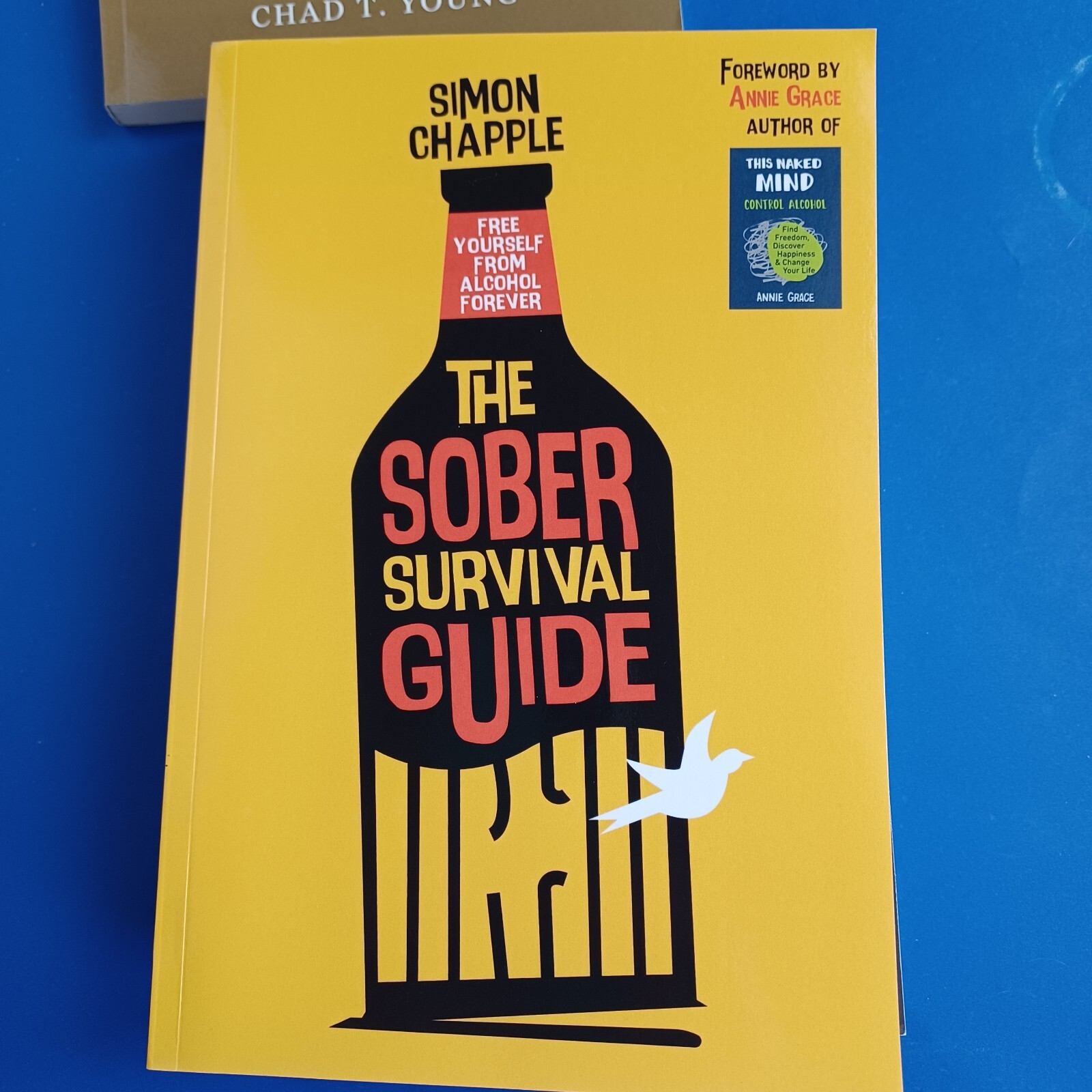 Lot 4 Alcohol Cessation Help Books 2 Craig Beck & One Faith Based, Sober Guide
