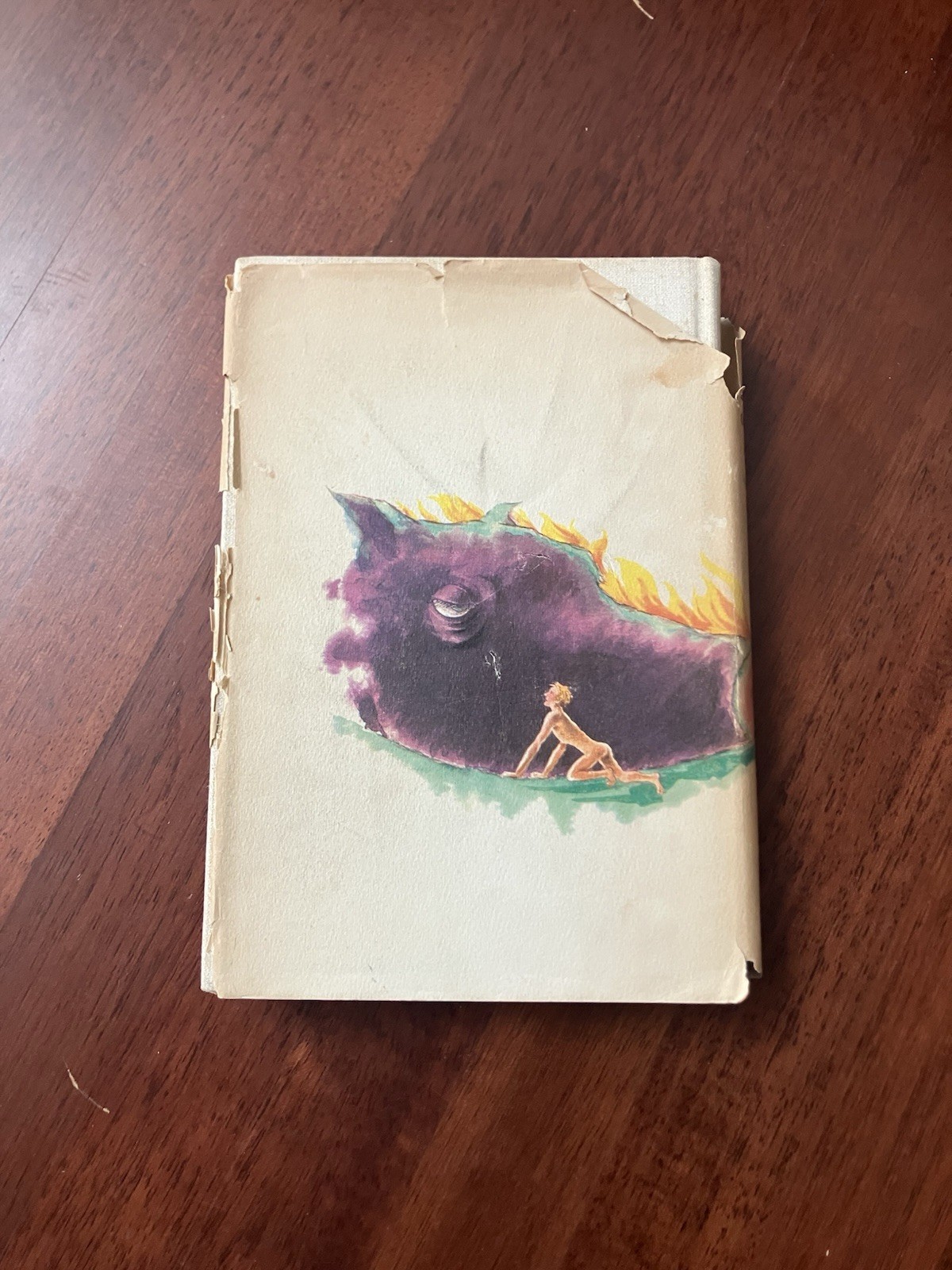 The Lord of the Flies The 1962 Edition HBDJ William Golding 1st 3rd Conrad
