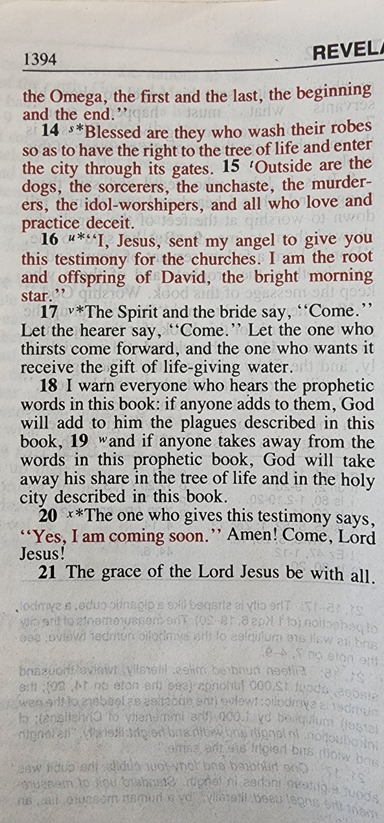 The New American Bible Catholic World Press Red Letter Edition Crimson Cover 91