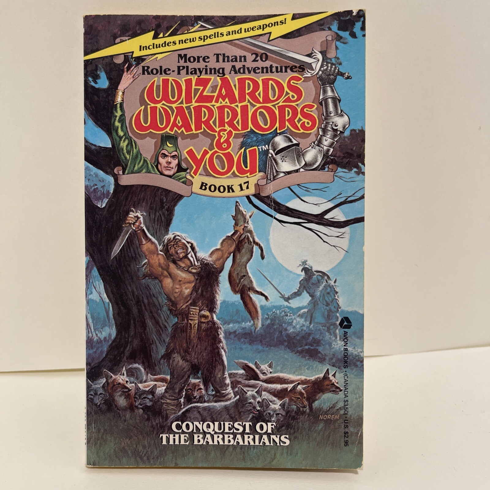 Wizards Warriors & You Book #17 Conquest Of The Barbarians First Printing 1986